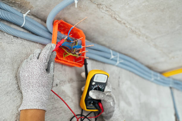 Best Electric Panel Repair  in Osborne, KS